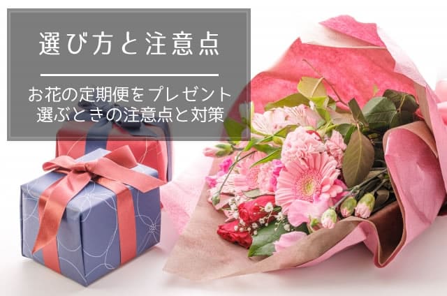 お花の定期便をプレゼントで利用するときの選び方と注意点
